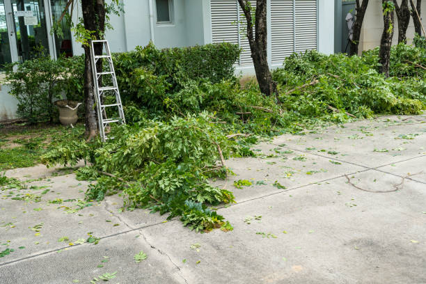 Liberty, NC  Tree Services Company